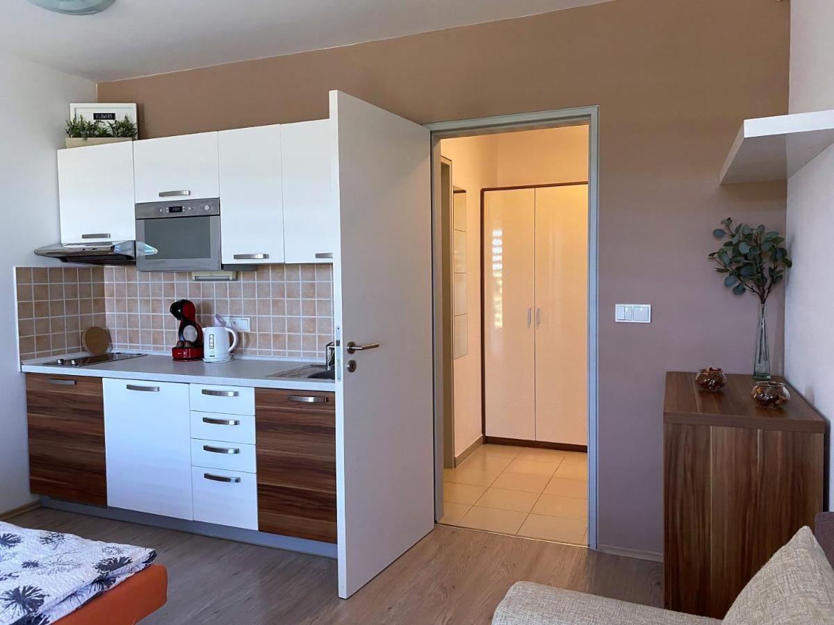 Miky Apartman Klinovec Meadow Loučná pod Klínovcem 外观 照片
